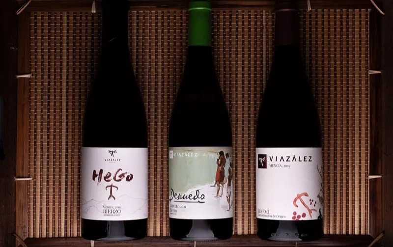 Wine producer in León | BODEGAS VIAZÁLEZ