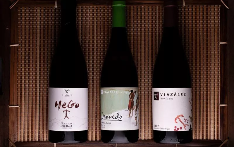 Wine producer in Bierzo | BODEGAS VIAZÁLEZ