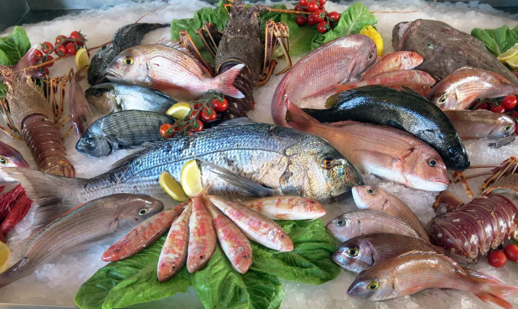 Distributore di Pesce e Molluschi a Pontevedra | GALICIA MARISCO