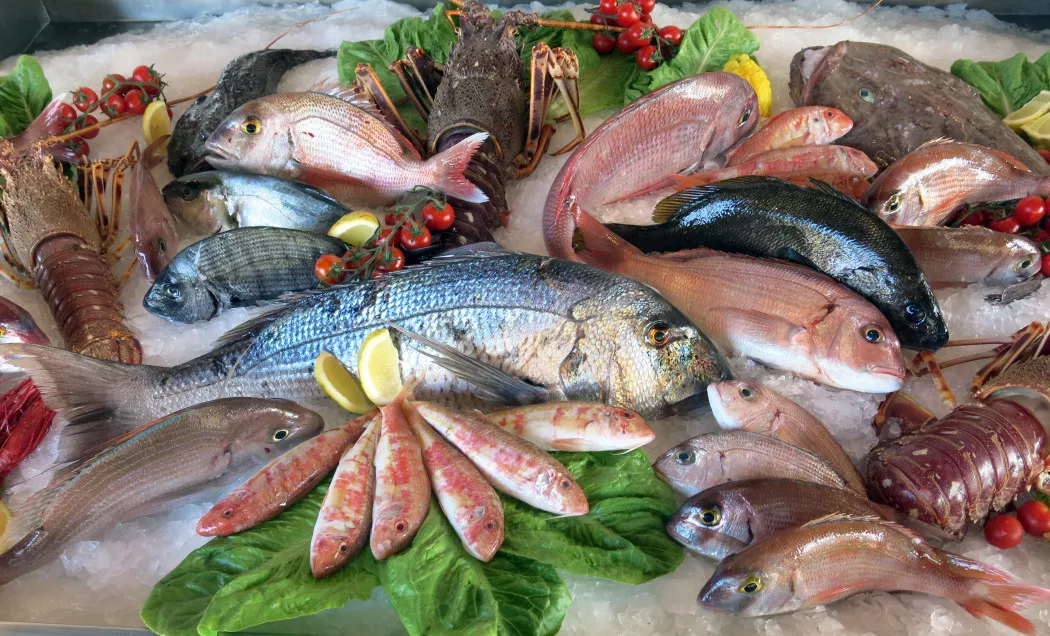 Distribuidor de Pescado y Marisco en Pedreña | MARISCOS ANAMAR