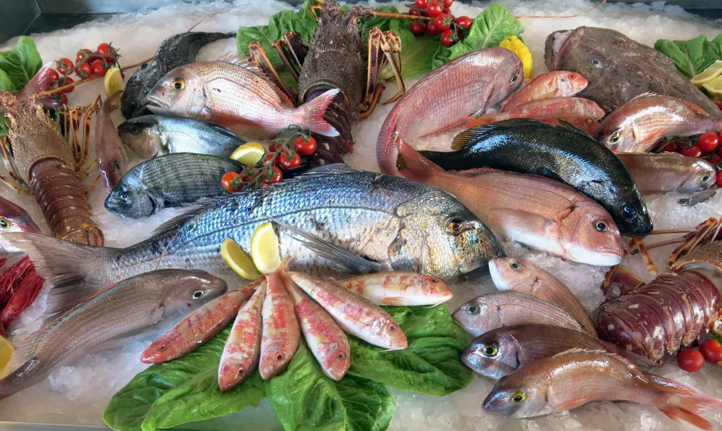 Fish and Seafood distributor in Pontevedra | MARISCOS O GROVE
