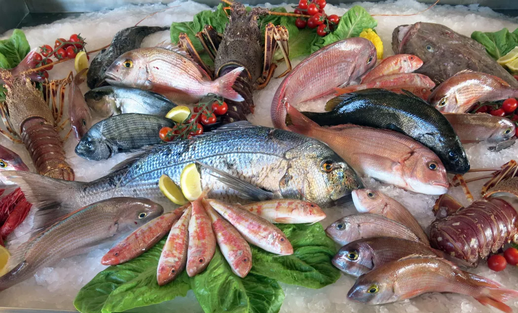 Distributore di Pesce e Molluschi a San Sebastián | MARISQUERÍA SAGASTUME