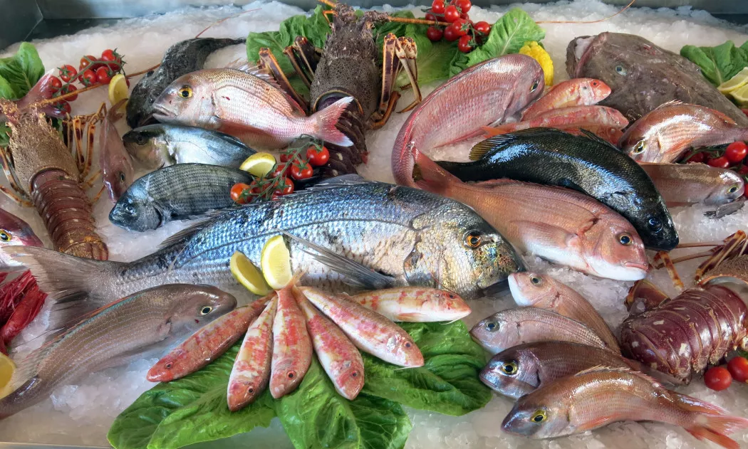 Distribuidor de Pescado y Marisco en Pontevedra | MARISCOS SALVORA