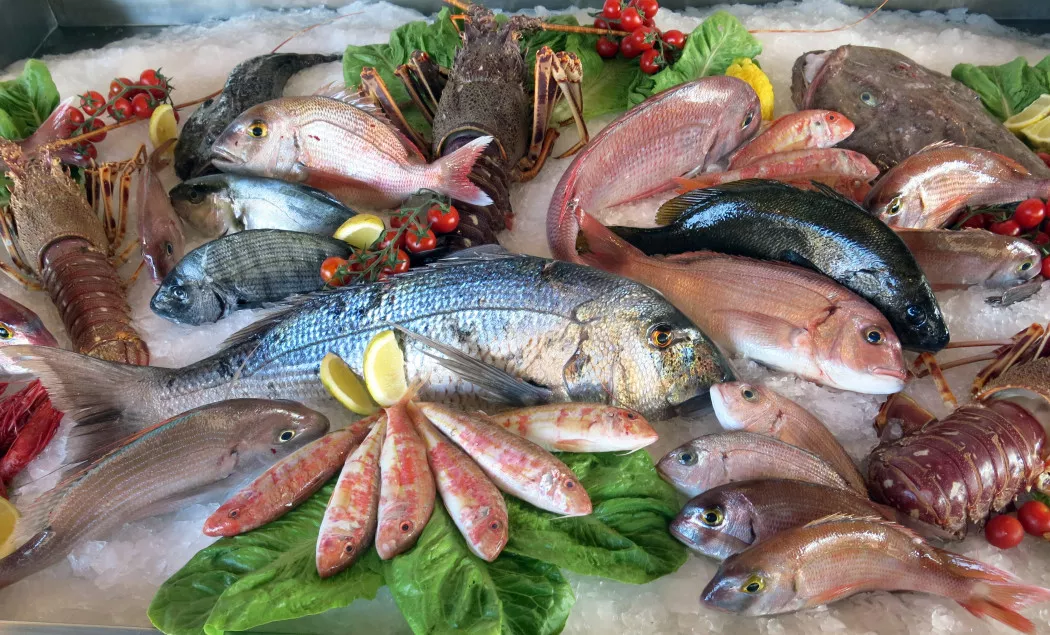 Distributore di Pesce e Molluschi a Pontevedra | O PERCEBEIRO