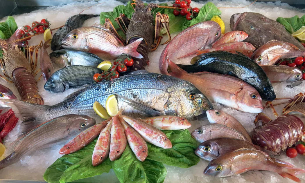 Distribuidor de Pescado y Marisco en Madrid | MEJYMAR