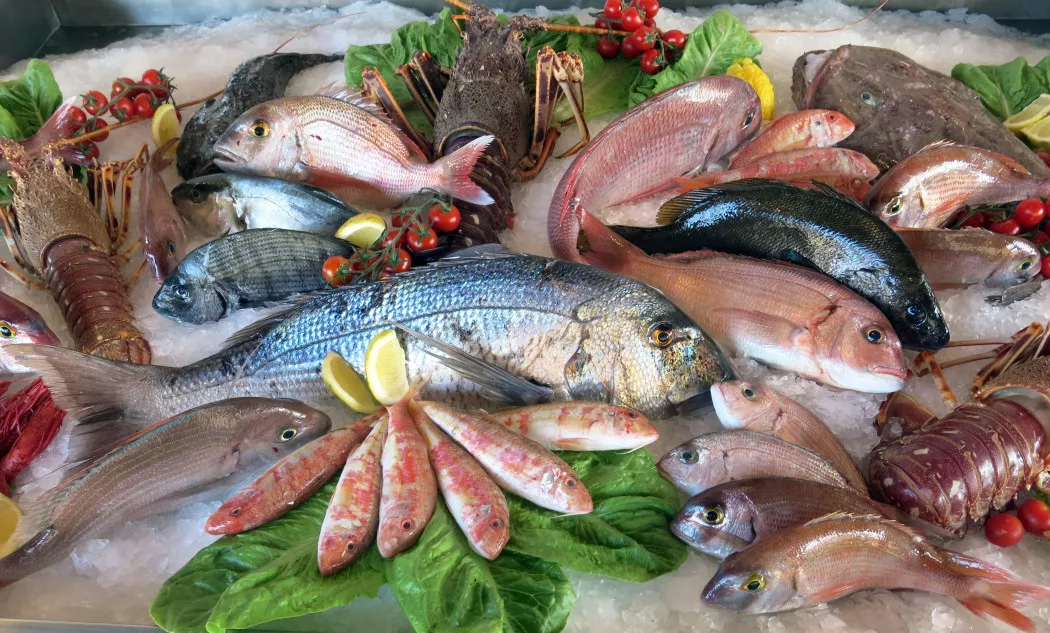 Fishes and seafruits supplier in Madrid | Vazquez