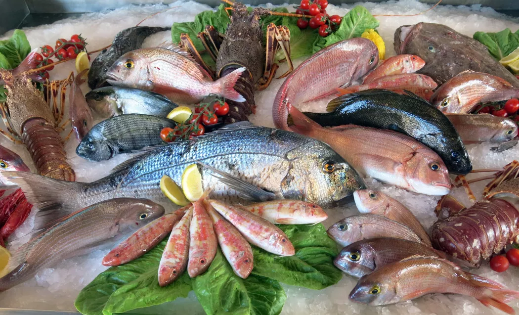 Distribuidor de Pescado y Marisco en Madrid | PESCADERÍA LA MILAGROS