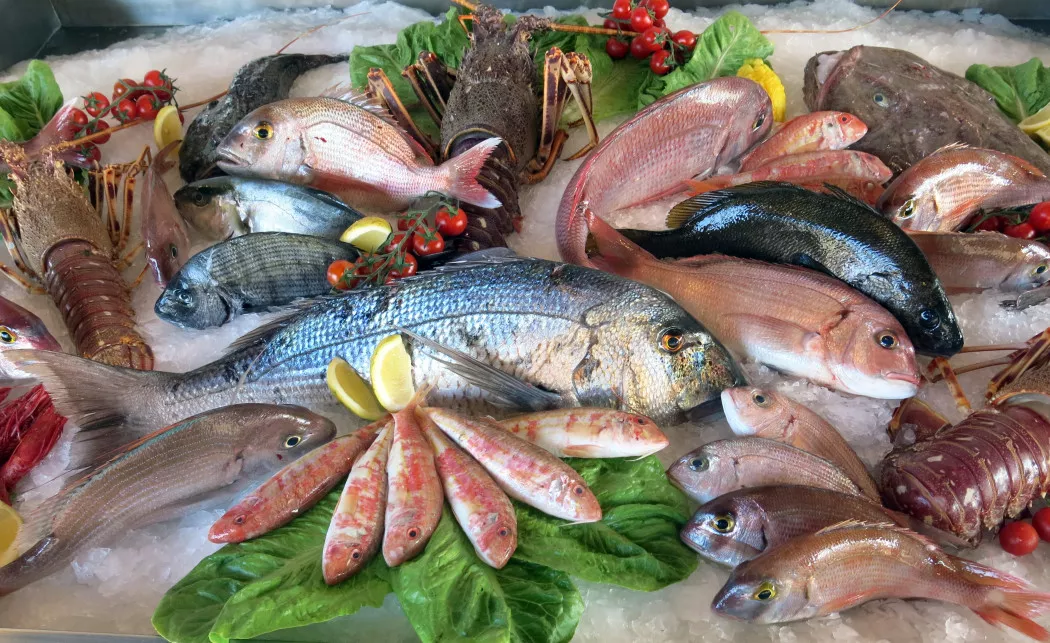 Distributore di Pesce e Molluschi a La Coruña | GRUPO EXPOMAR