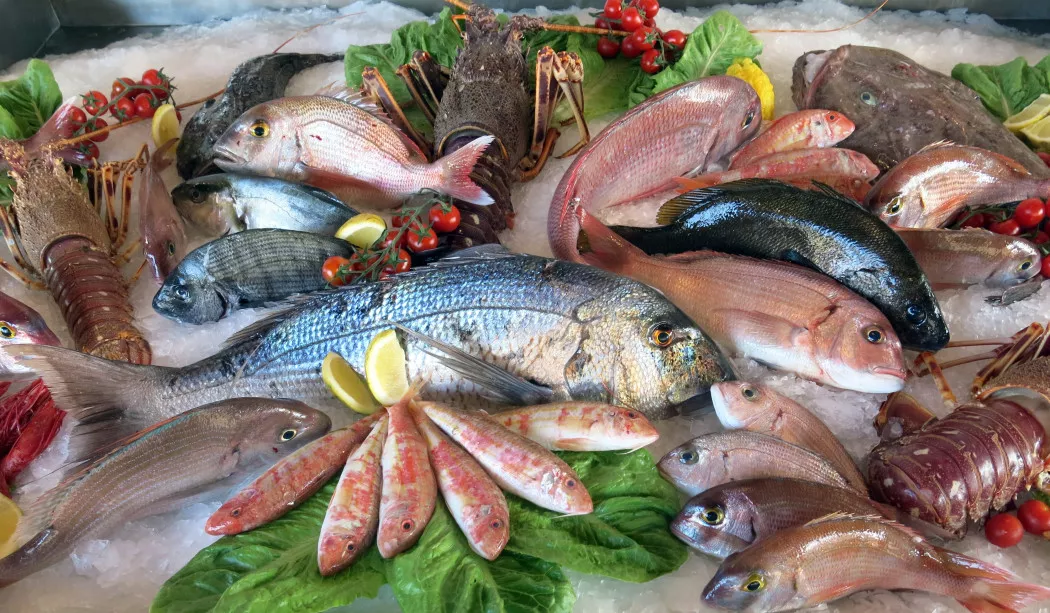 Distribuidor de Pescado y Marisco en La Coruña | PERCEBEMAR