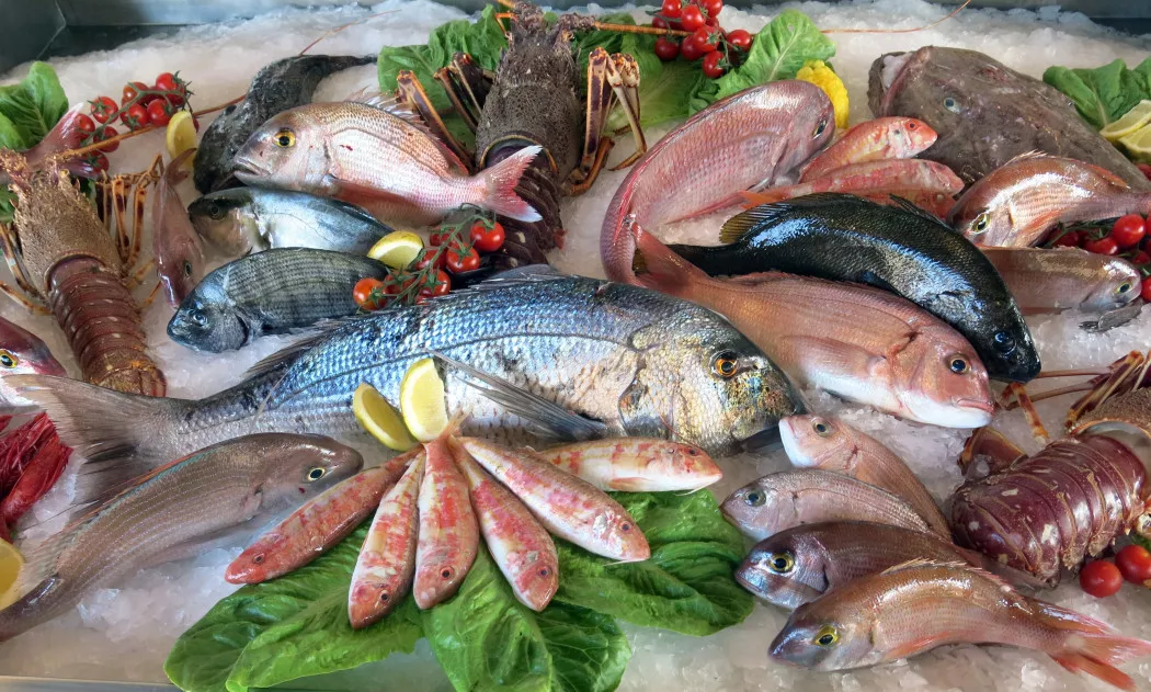 Distribuidor de Pescado y Marisco en Huelva | LA DESPENSA DEL MAR
