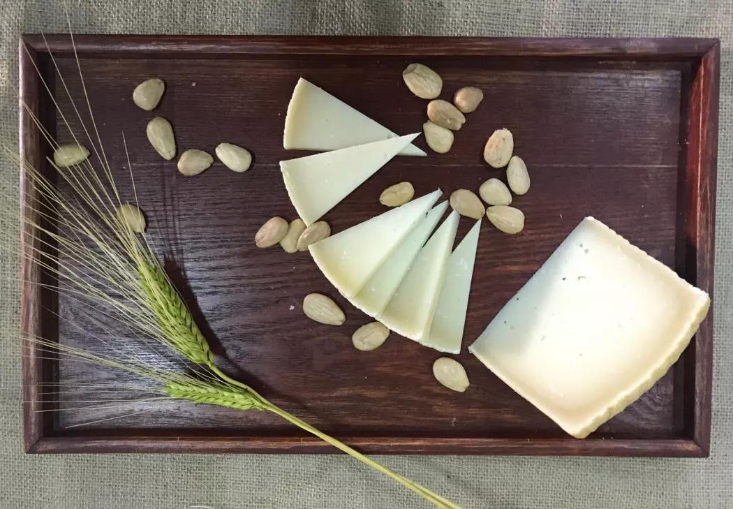 Artisanal sheep cheese manufacturer | QUESOS SALETA