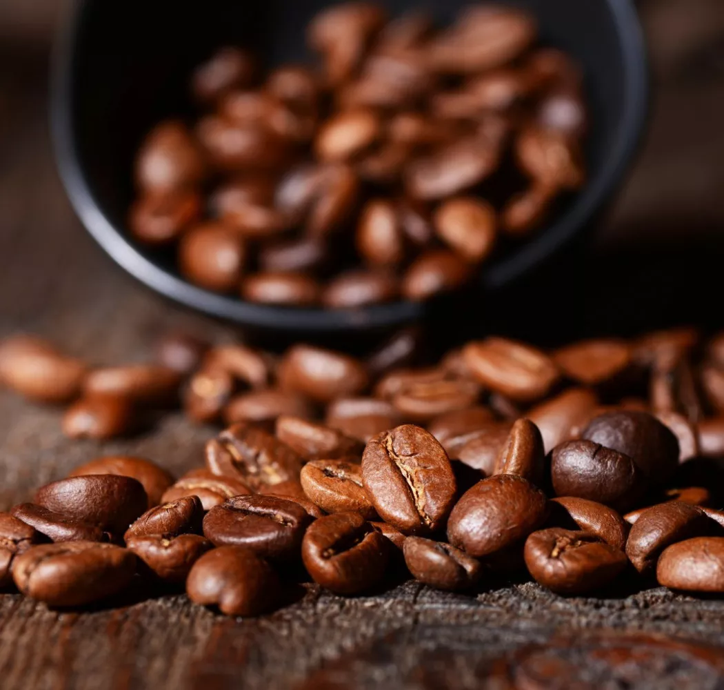 Coffee producer in Manizales | DESCAFECOL