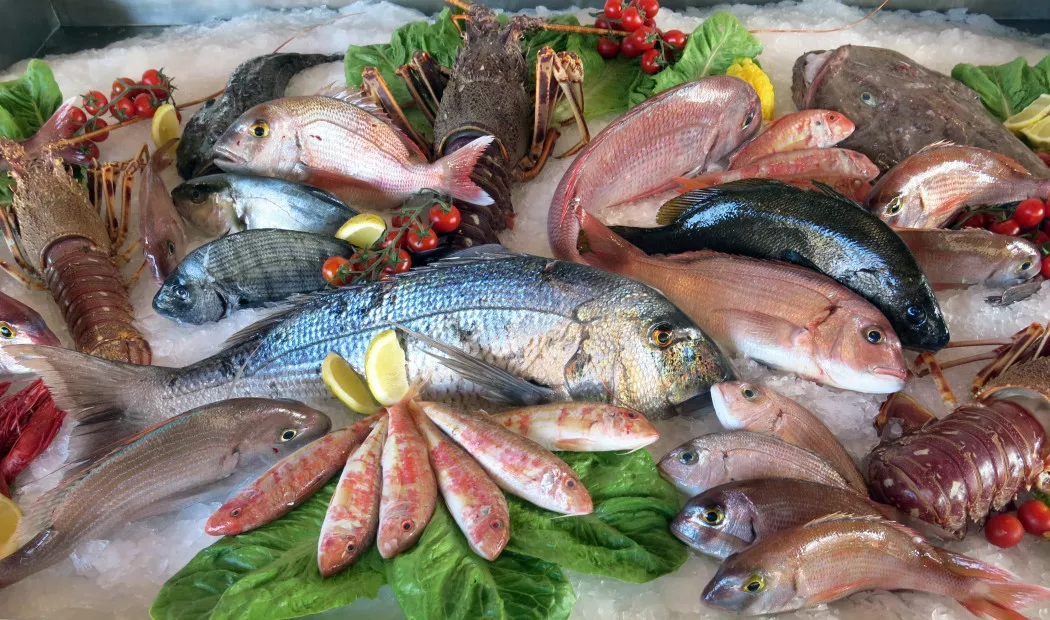 Food supplier in Pontevedra | GETFISH