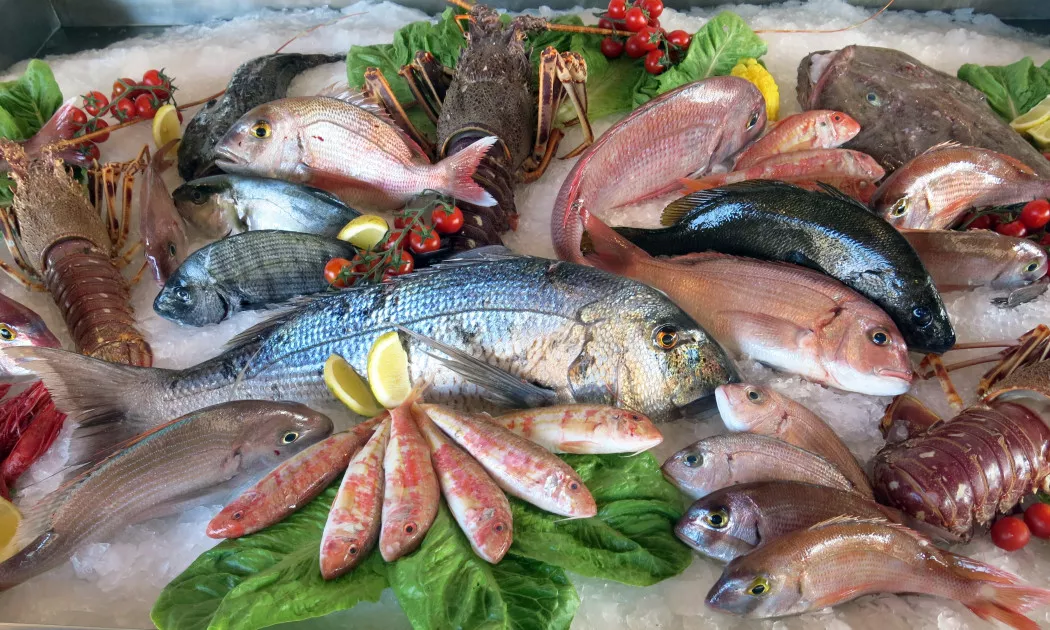 Distributore di Pesce e Molluschi a Pontevedra | MARISCOS CAMPELO
