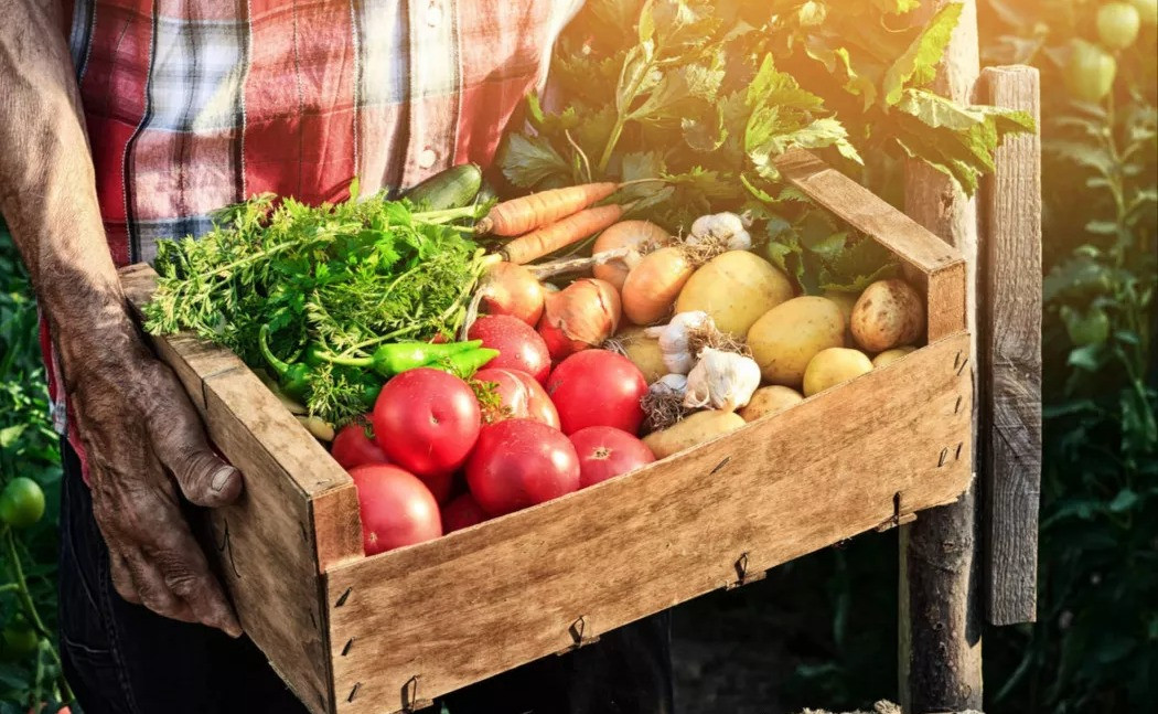 Fornitore frutta e verdura  a Granada | CARMELO FRUIT