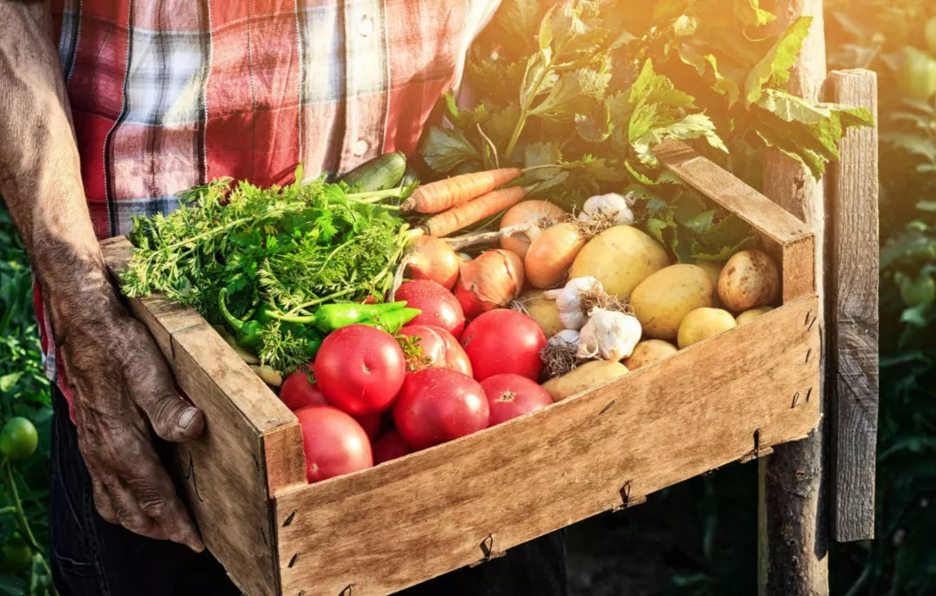 Distribuzione alimentare a Lérida | BOLETUS PYRENEES