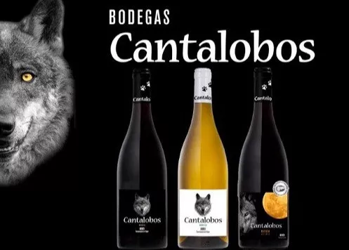 Produttore di Vino a Ponferrada | BODEGAS  CANTALOBOS