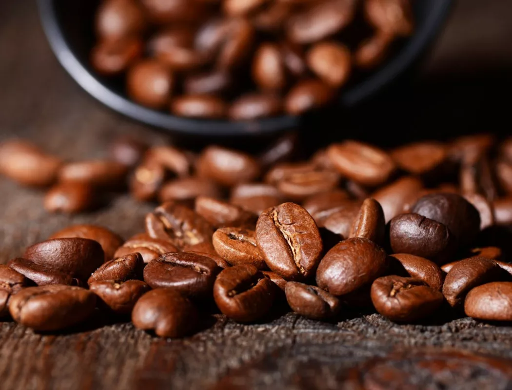 Coffee producer in Barcelona | BALNES