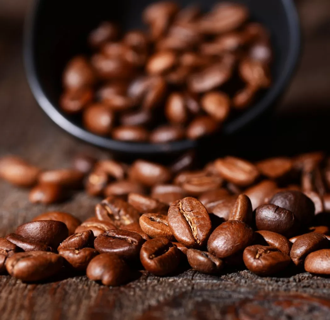 Coffee producer in Islas Baleares | CAFÉS LAS ANTILLAS