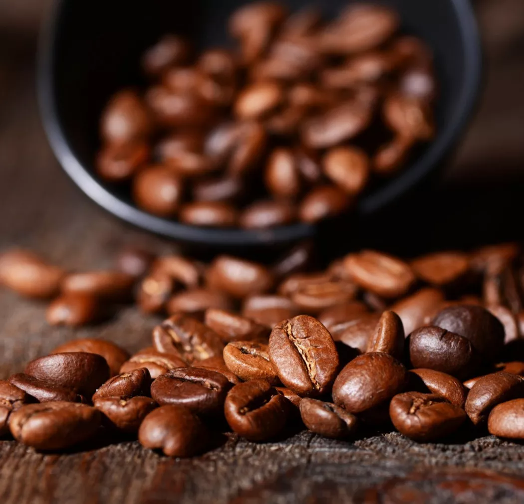 Coffee production in Llanera | Cafés Oquendo