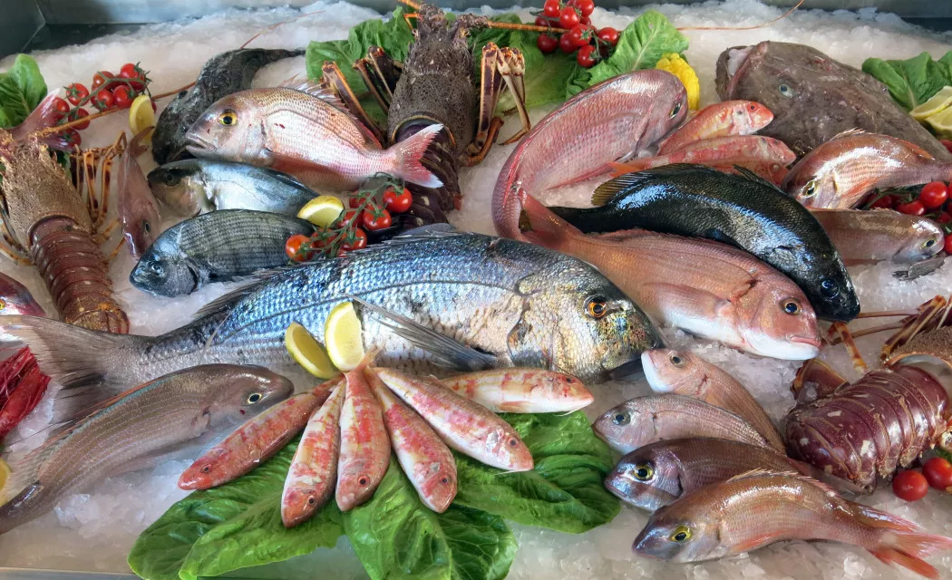 Distribuidor de Pescado y Marisco en Tarragona | PEIXATERIES JOSEP