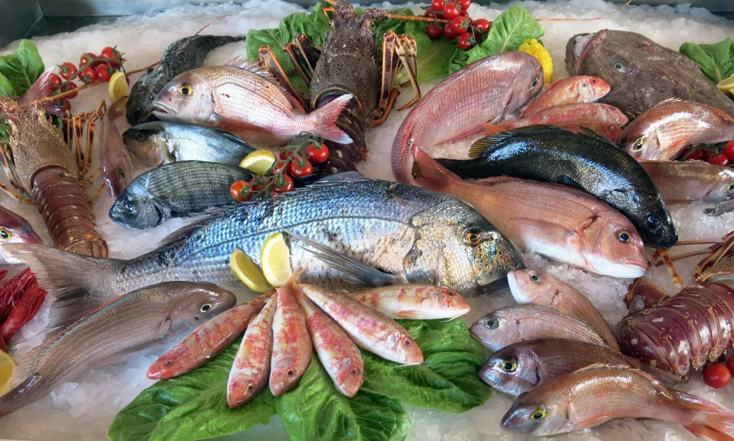 Distribuidor de Pescado y Marisco en Pontevedra | DEALBORD