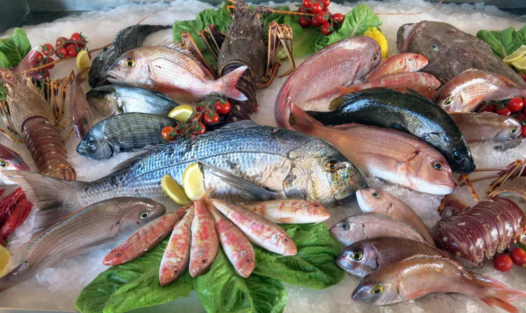 Distribuidor de Pescado y Marisco en Barcelona | GAMBA DE LA COSTA