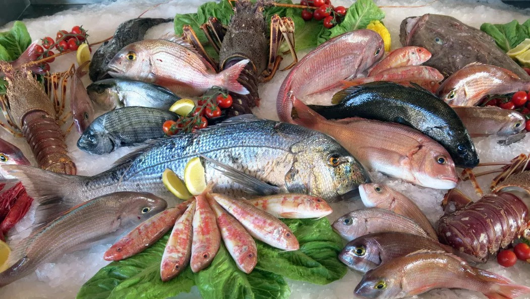 Caser Peix | distribuidora de pescado y marisco para hosteleria