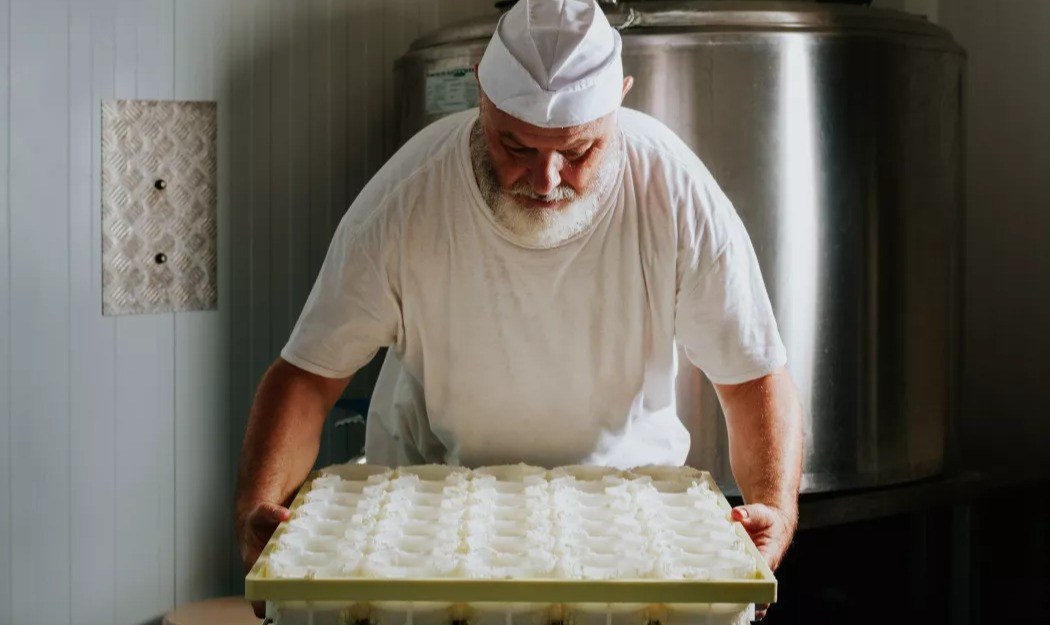 Produzione formaggi freschi a Gavà | Can Robert | foto 6