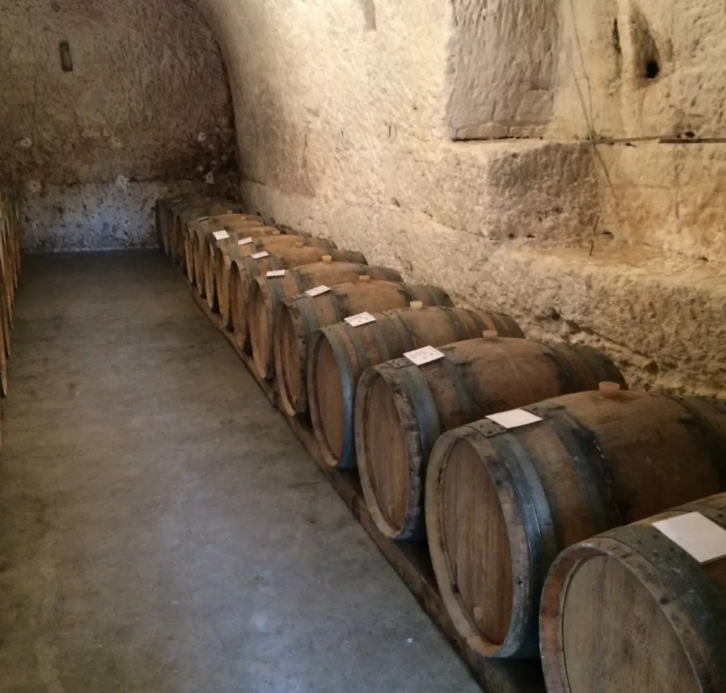 Productor de Vino en Barcelona | CELLER AVENC DEL GARRAF