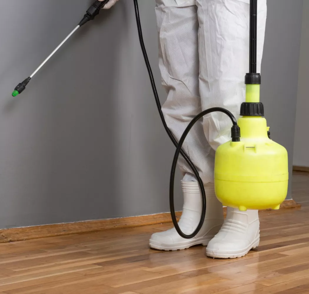 Cleaning Services in Barcelona | BSCP