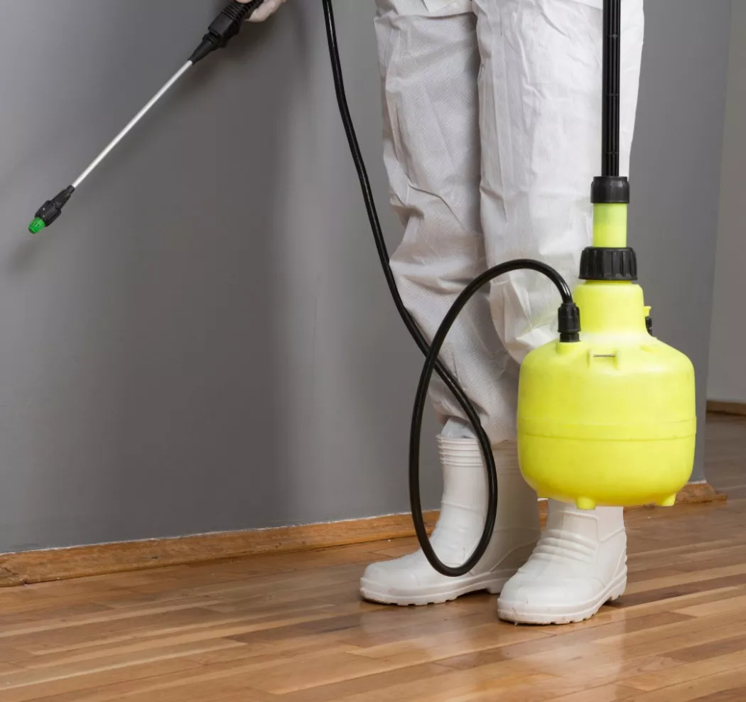 Cleaning Services in Barcelona | SERVISET