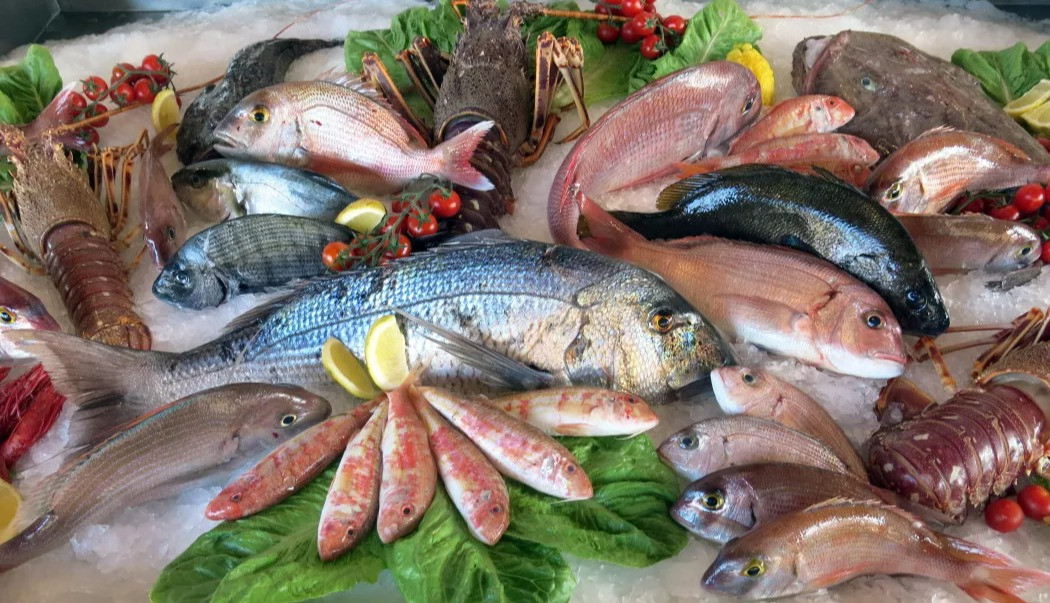 Arrom Barcelona | fish and seafood suppliers